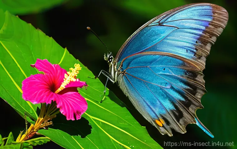 곤충의 생태계 역할 - **Prompt for "Insects as vital ecosystem contributors"**:
    "A vibrant and lush tropical rainfores...