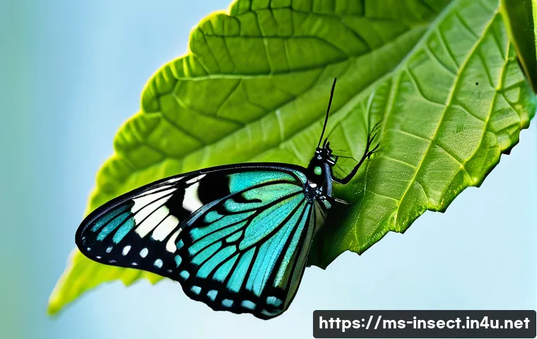 Terokai Rahsia Kitaran Hidup Serangga Yang Bakal Mengejutkan Anda 3 곤충 번식 주기 관련 이미지 1