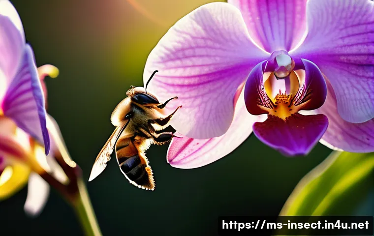 Terokai Rahsia Kitaran Hidup Serangga Yang Bakal Mengejutkan Anda 4 곤충 번식 주기 관련 이미지 2