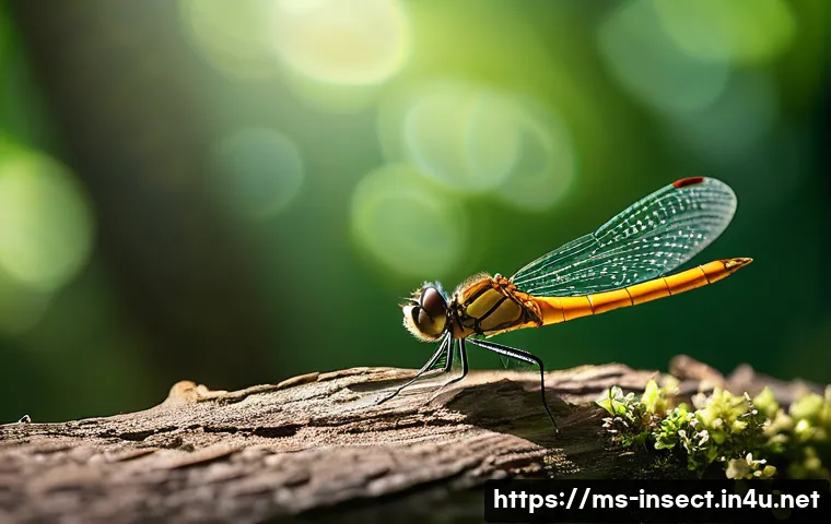 Ketahui 5 Fakta Mengejutkan Mekanisme Penerbangan Serangga yang Wajib Anda Tahu! 4 곤충의 비행 메커니즘 관련 이미지 2